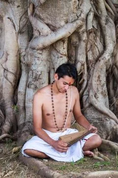 Brahmin Reading Foto stock