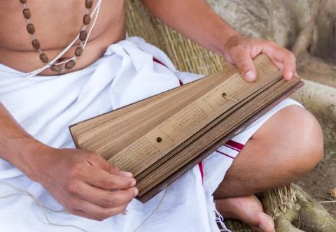 Brahmin Reading Foto stock