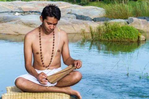 Brahmin Reading Foto stock