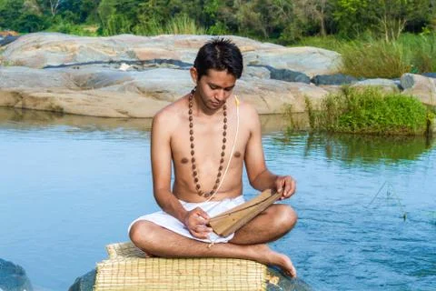 Brahmin Reading Foto stock