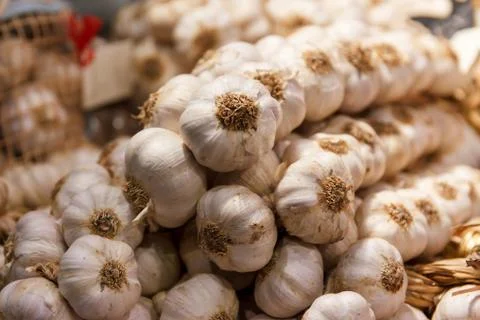 Braid of garlic Stock Photos