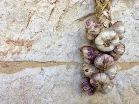 Braid of garlic Stock Photos