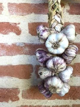 Braid of Garlic Stock Photos
