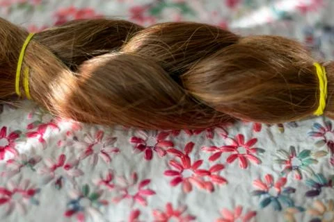 Braid hairstyle. Stock Photos