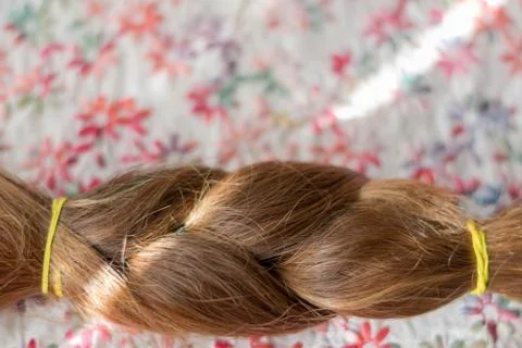 Braid hairstyle. Stock Photos