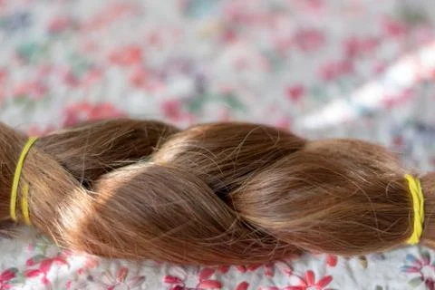 Braid hairstyle. Stock Photos