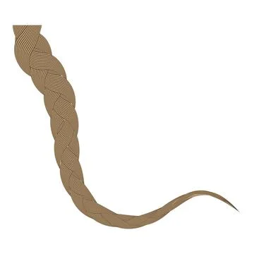 Braid icon clipart avatar. Braided curve hair. Cartoon art illustration iso.. Stock Illustration