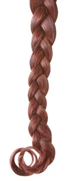 Braid isolated on white. Stock Photos