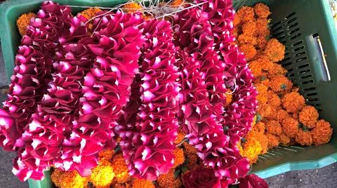 A braid or pattern formed by interlacing red color rose flowers petals Stock Photos