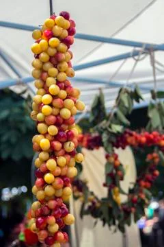 Braided of cherries. Stock Photos