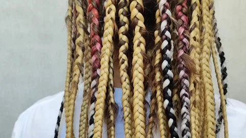 Braided dreadlocks. Back view. Stock Footage 246522534