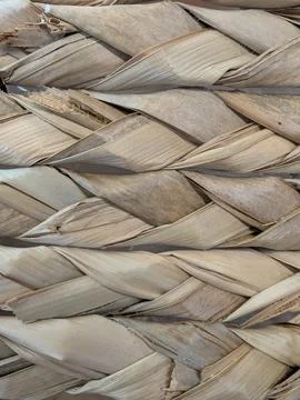 Braided dried palm leaf closeup with woven texture and beige soft natural ton Stock Photos