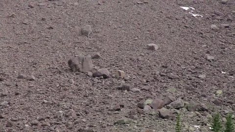 Braided Waterfall in Mountain Stock Footage 79549534