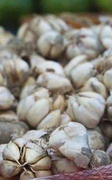 Braids of garlic Stock Photos