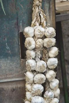 Braids of garlic Stock Photos