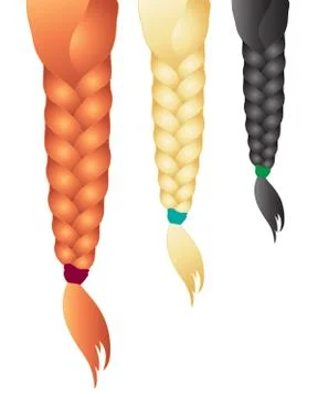 Braids Stock Illustration