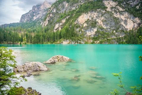 Braies lake surrounded by pine forests and the rocky ranges of the Dolomites in Stock Photos