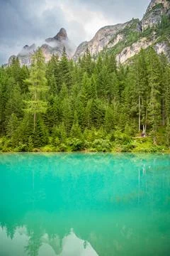 Braies lake surrounded by pine forests and the rocky ranges of the Dolomites in Stock Photos