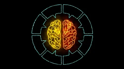 Brain 001 Infographic Stock Footage 92695539
