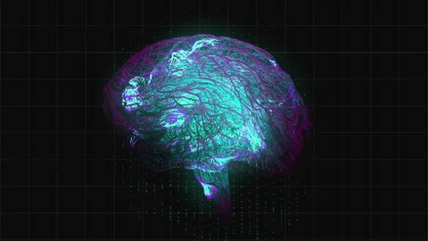 Brain 03 動画素材 263417825