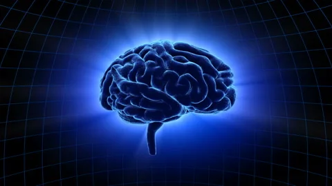 Brain 19 1 A1dB 4k Vídeos de archivo 108135231