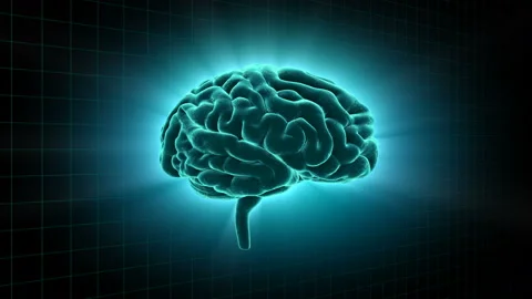 Brain 19 1 A1gD 4k Stock Footage 108139317