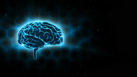 Brain 19 1 A2bB 4k Stock Footage 108138934