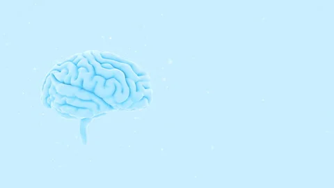 Brain 19 1 A2bW 4k Stock Footage 108141219
