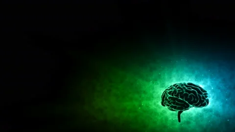 Brain 19 1 A3bD 4k Stock Footage 108146274