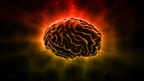Brain 19 1 B1bD 4k Stock Footage 108154590