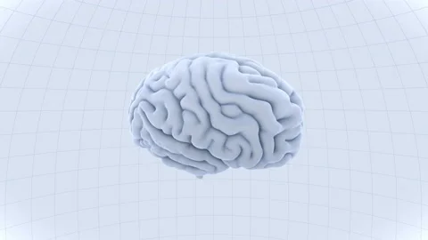 Brain 19 1 B1dW 4k Stock-Footage 108158283