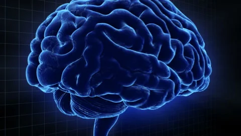 Brain 19 1 D1gB 4k Видео 108535034