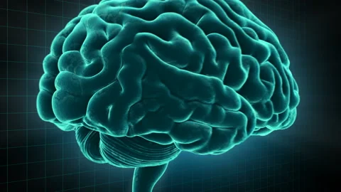 Brain 19 1 D1gD 4k Vídeos de archivo 108535100