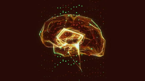 Brain 23 動画素材 263419006