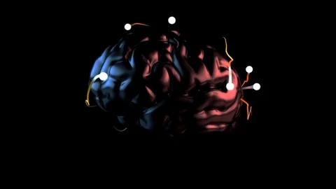 Brain - 3D Animation Stock Footage