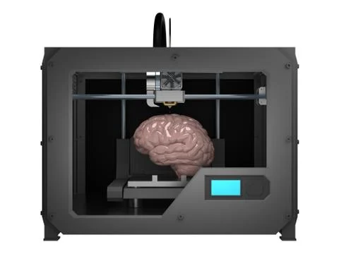 Brain in 3d printer isolated on white 3d rendering 스톡 일러스트