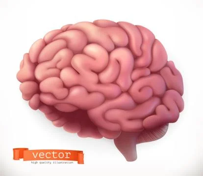Brain. 3d vector icon Stock Illustration