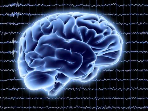 Brain activity; artwork Stock Illustration