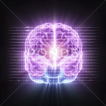 Brain activity; artwork Stock Illustration