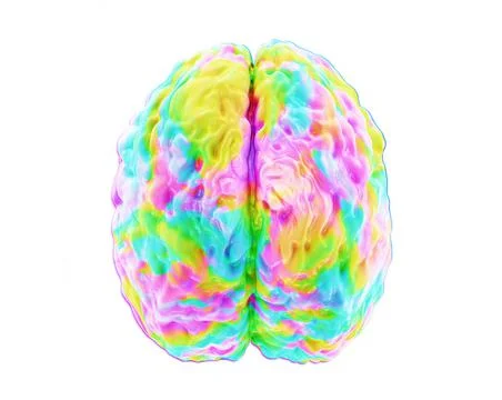 Brain activity, colored human brain model, view top, 3d illustration Stock Illustration