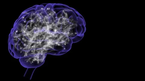 Brain activity. Stock Footage 99655994