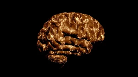 Brain Activity Stock Footage 120856137