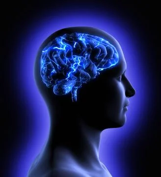 Brain activity 스톡 일러스트
