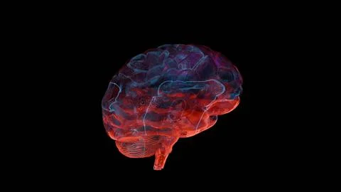 Brain activity, neural impulses in the human brain. Stock Illustration