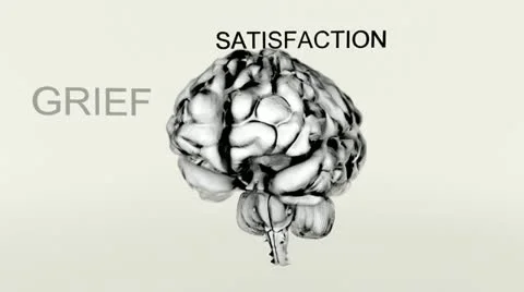 Brain Activity Regulates Emotions. Stock Footage 21788262