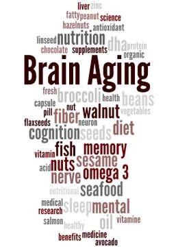 Brain Aging, word cloud concept Stock Illustration