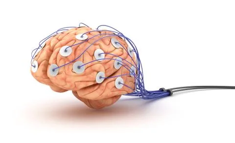 Brain analysis. Polygraph test. Stock Illustration