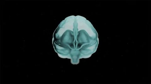 Brain anatomy. 3d image of realistic human brain in green shades over black o Stock Illustration