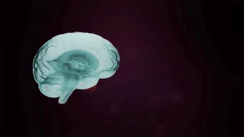Brain anatomy. 3d image of realistic human brain in green shades over black o イラスト素材