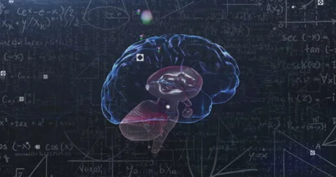 Brain anatomy and mathematical equations animation over dark background Stock Footage 306432632